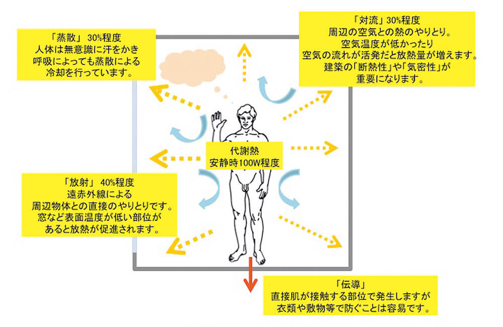 図3　人類の放熱は4ルートあり