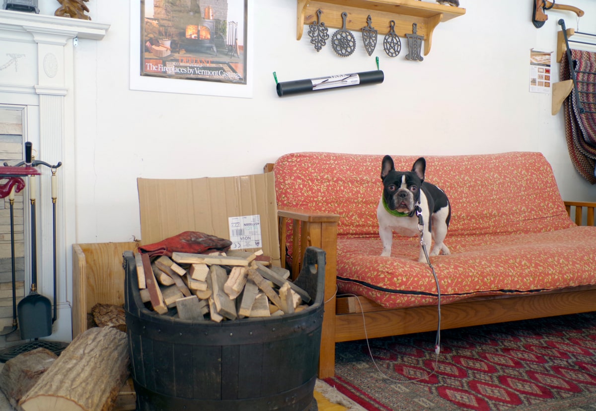 お店に入ると、看板犬のフレンチブルドッグ、アトムくんがしっぽを振ってお出迎えしてくれる