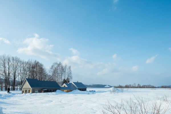 「新旧の素材が出会うリノベーションホテル」TOURIST HOME & LIBRARY 青い星通信社