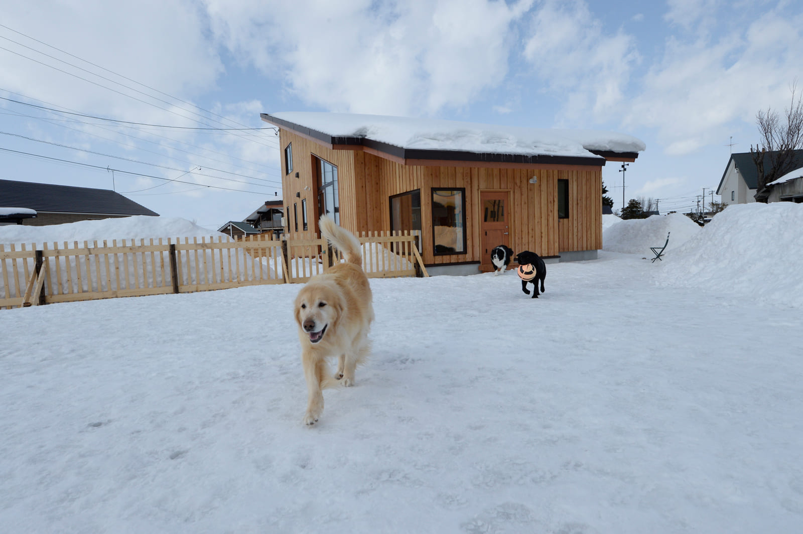 3頭の犬たちが元気に走り回れる広いドッグランのある庭