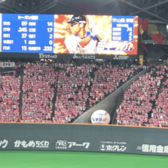 プロ野球が早く見たい。。