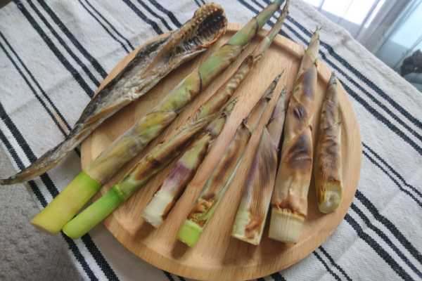 北海道の「姫竹」を採って食す。