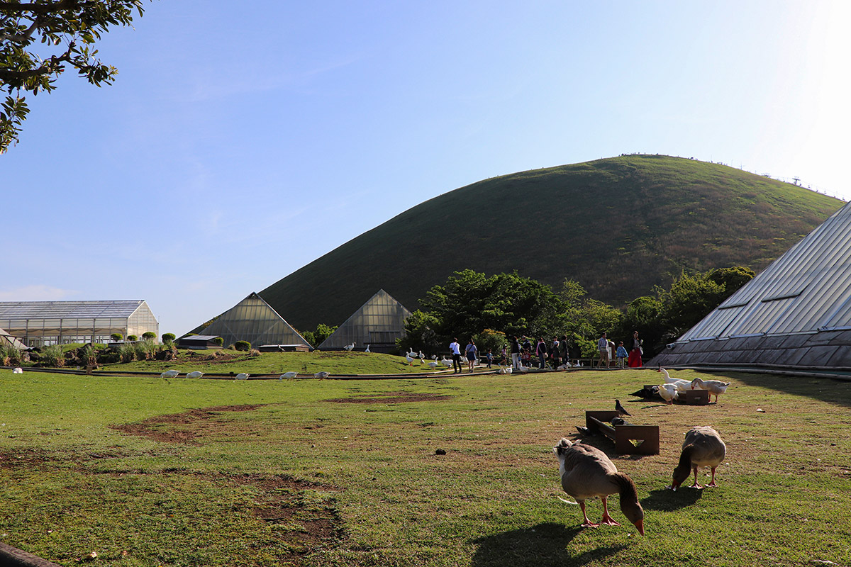 動物とふれあえる広場。右奥は大室山