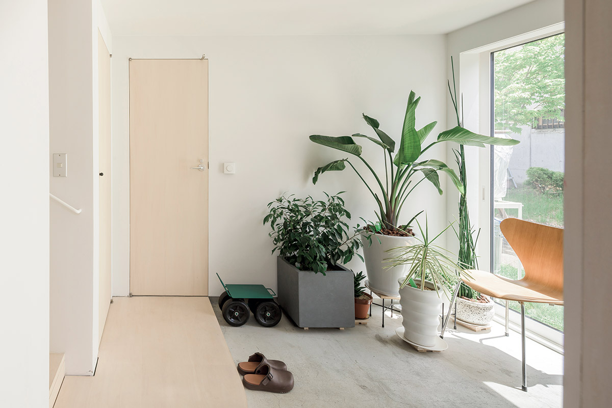 玄関土間の一角にお気に入りの観葉植物を並べたお住まい。帰ってきてすぐ緑が目に入るのも気持ちがいい