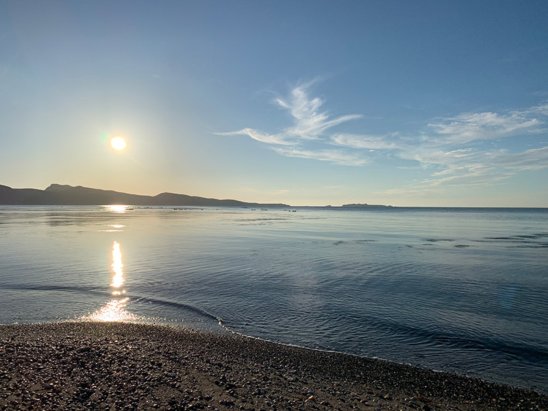 夕方の「アザラシ海岸」。凪いだ海でアザラシたちは一日中のーんびり