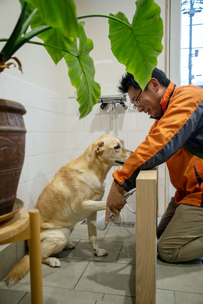 玄関でギンくんの脚を洗えるので、散歩から帰って家の中へ入れるまでの流れがスムーズ