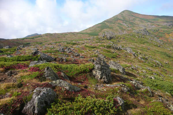 いざ、憧れのトムラウシ山へ紅葉登山