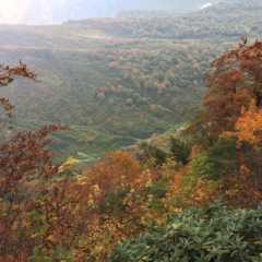 来年の秋に向けた、おすすめ登山スポット 「谷川岳」