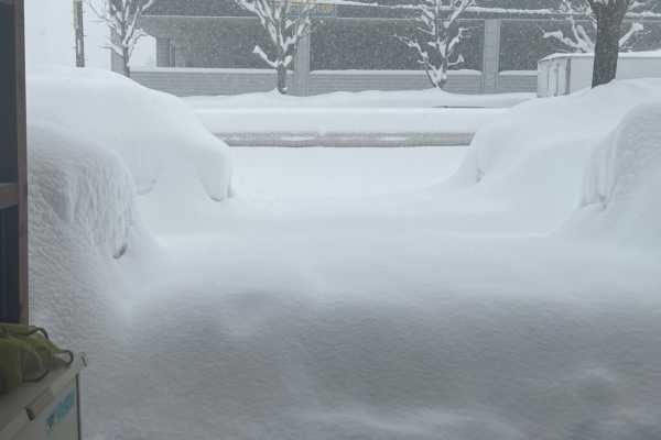 近年まれに見る、札幌の大雪