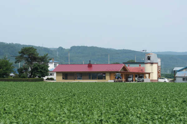 天然素材の質感と手仕事が息づく赤い屋根の木組みの家