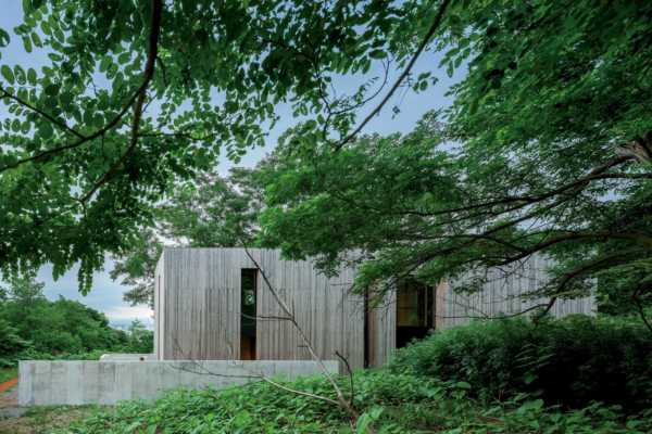 5/7(土)・5/8(日)【予約制】札幌の建築家GLAの自邸「森の素形」オープンハウス｜一級建築士事務所 GLA