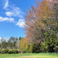 札幌近場で、今年初のキャンプ！