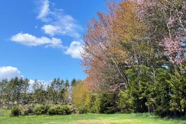 札幌近場で、今年初のキャンプ！