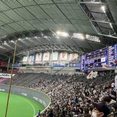 侍ジャパンin札幌ドーム、ナゾの空席のヒミツ