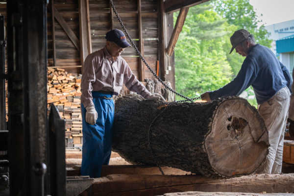 「北海道の広葉樹」を家づくりに。大坂林業の新たな挑戦