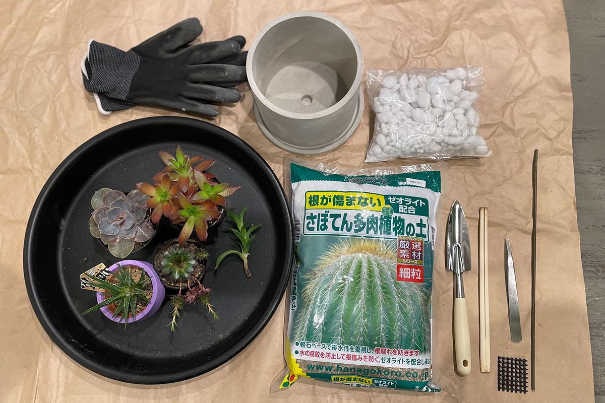 用意する道具は、鉢、鉢底石、多肉植物用の土、スコップ（小）、割り箸・棒、ピンセット、ネット。必要なら手袋も。土汚れが気になるなら、新聞紙や包装紙を敷いて、トレーを使うと片付けも楽