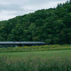 「北海道の木と人を繋ぐ、山の麓の一軒家カフェ」緑月