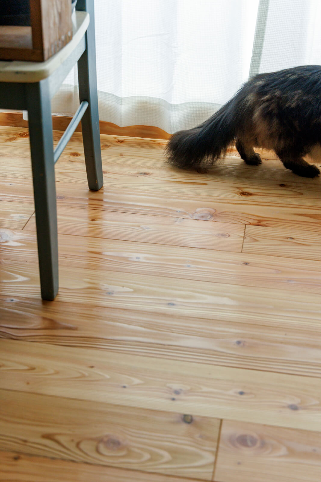 自社加工の道産カラマツ材の無垢床は、浮造り仕上げで足触りが優しく温かい。傷が目立ちにくく、愛猫たちにとっても歩きやすいそう
