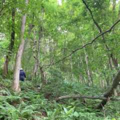 【常時公開中】林業と歩む家づくり（札幌市）｜atelier …