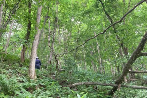 【常時公開中】林業と歩む家づくり（札幌市）｜atelier hippo合同会社