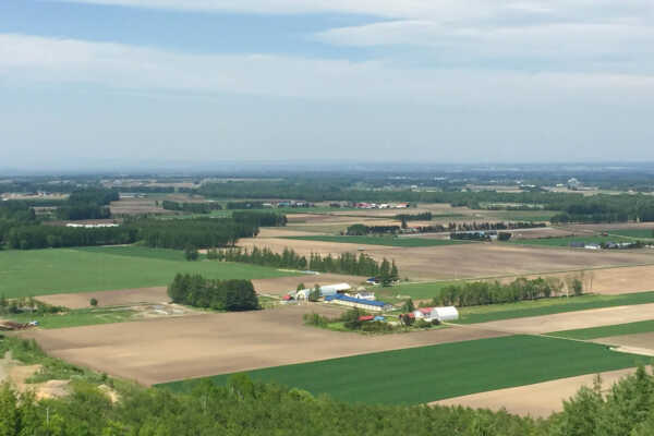 北海道への移住で後悔しないために。知っておきたい暮らしと家づくり