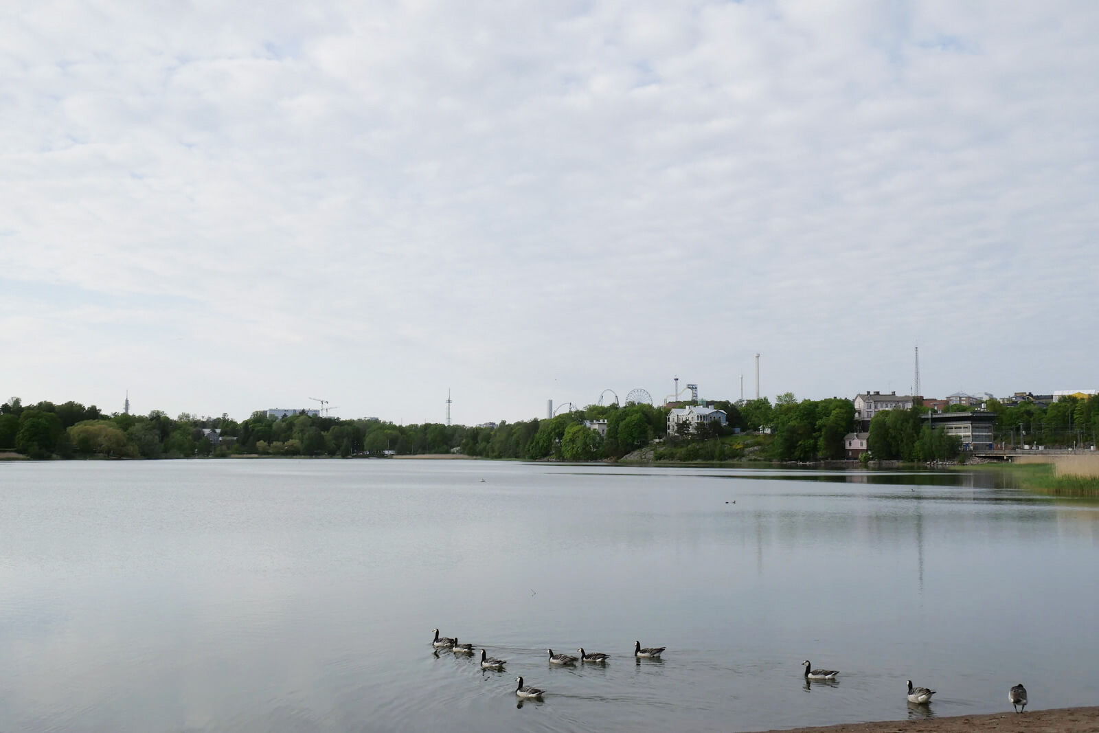 Töölö湾の様子