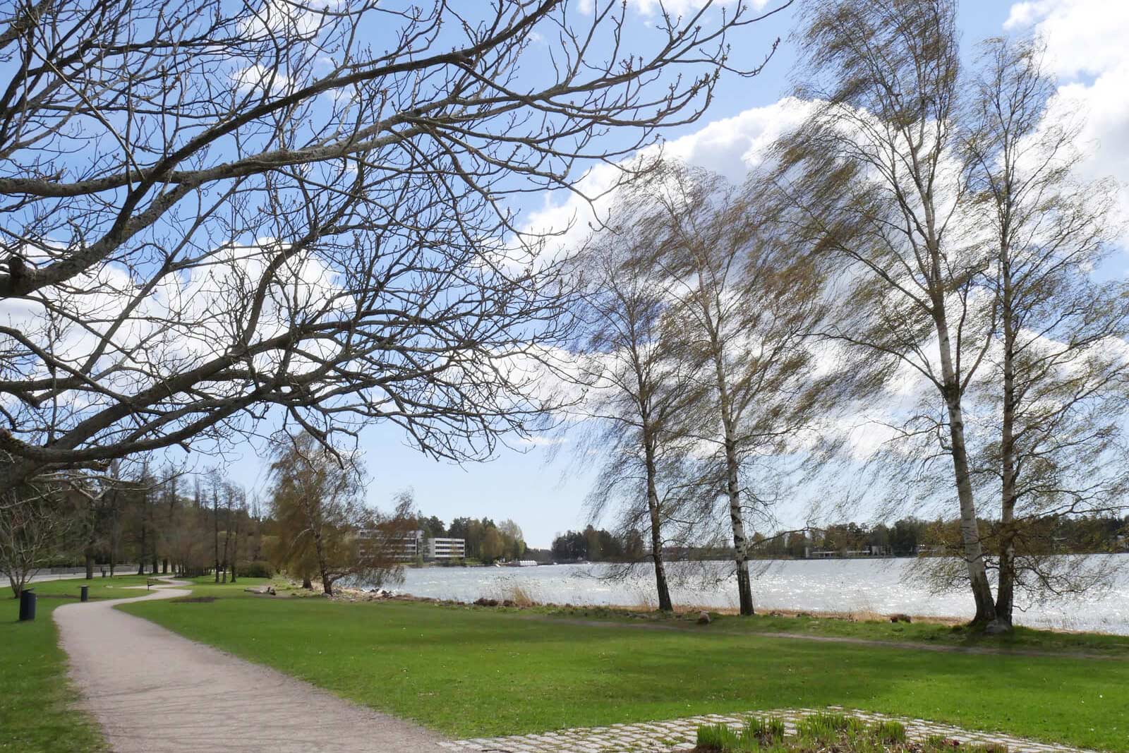 海沿いには散策にぴったりな公園もある