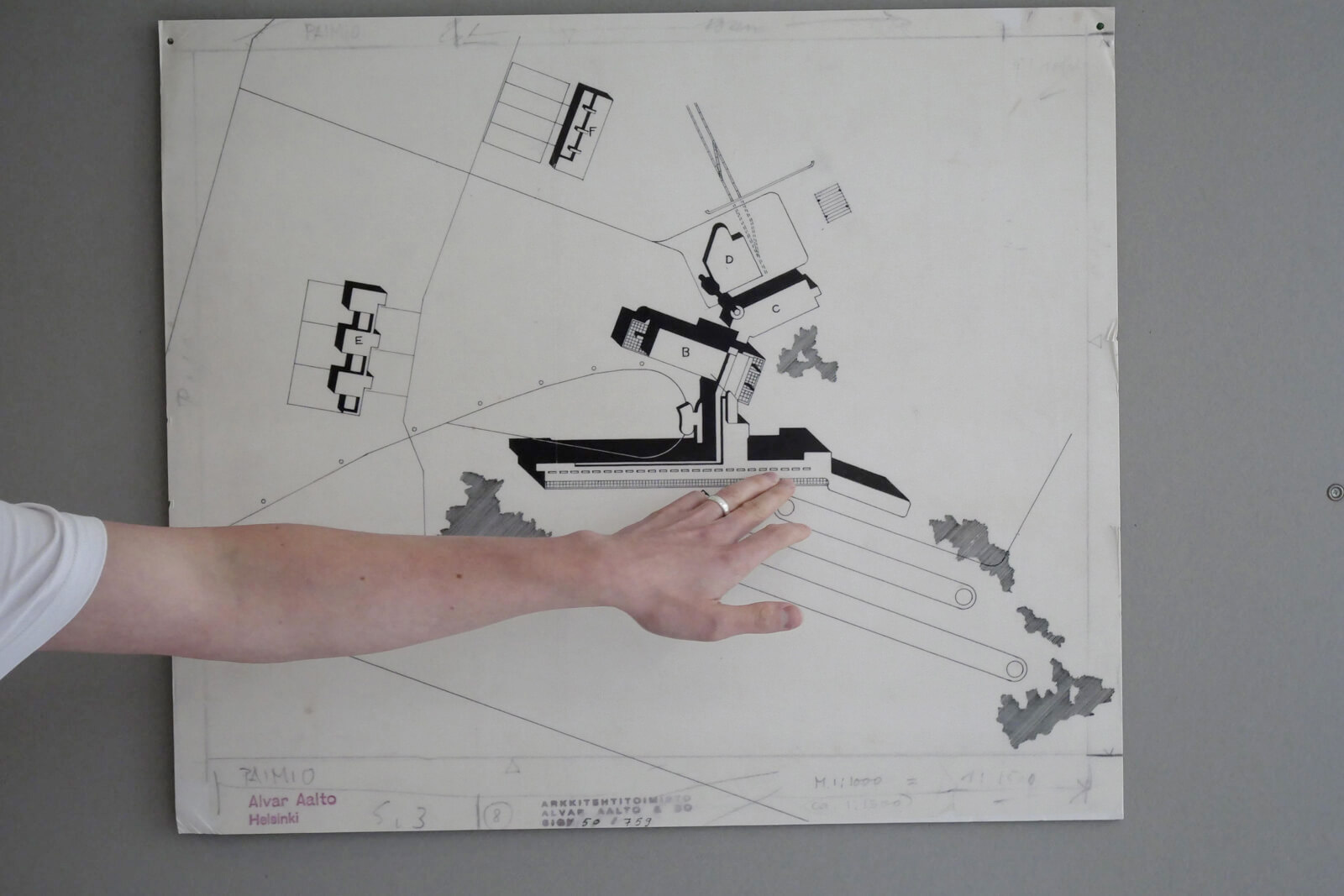 今回はタイミングよく英語のガイドツアーに参加。翻訳アプリを使いつつ、たどたどしくも質問を重ねてより深い話を聞くことができた