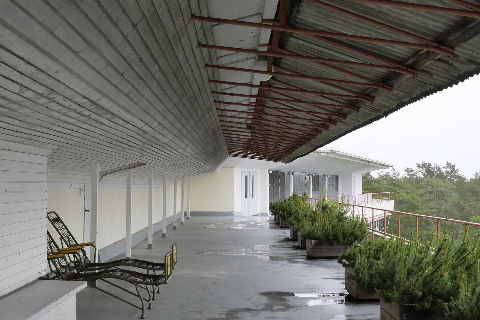 これが現在の様子。鉢植えのマツも、周囲の森の木々も豊かに生長した。アアルトにはどこまで見えていたのだろう…