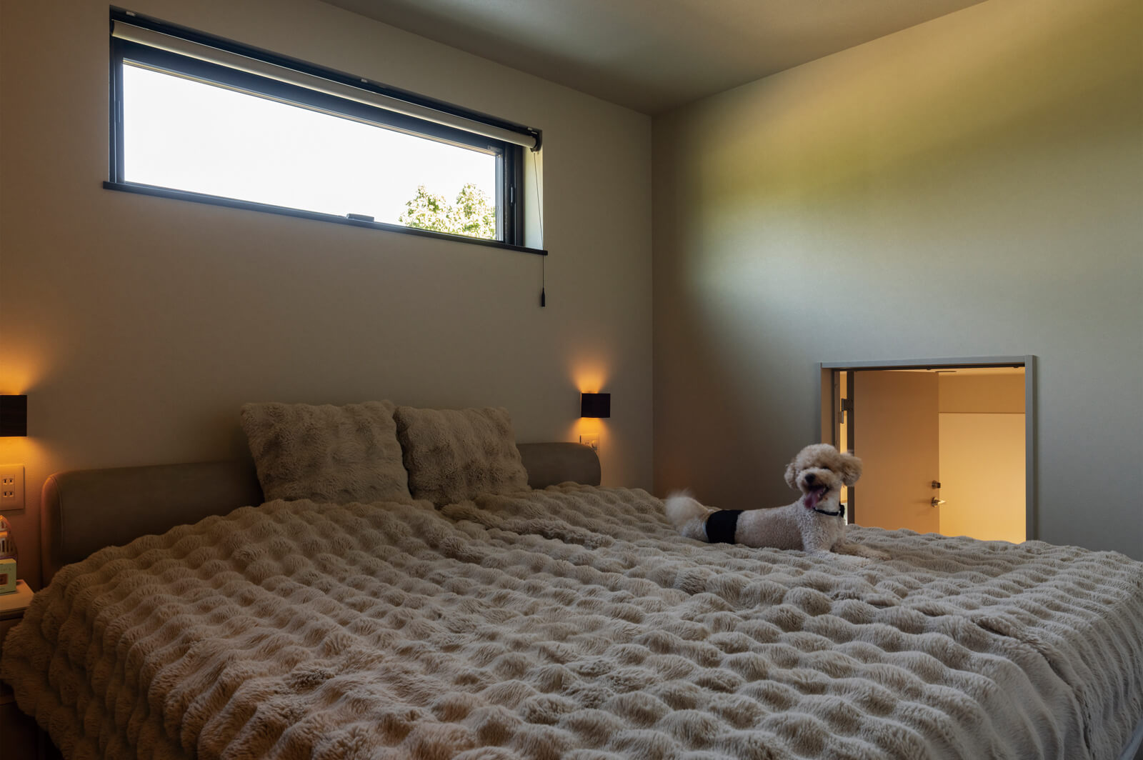 愛犬スペースとつながる寝室はハイサイドライトからの光が心地よい落ち着いた雰囲気に