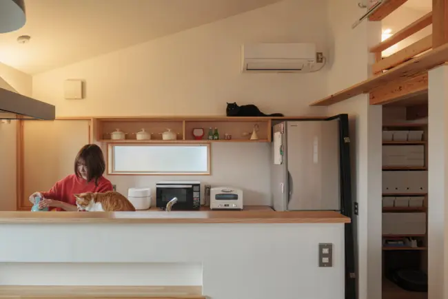 プライバシーと眺望が両立する2階リビングの高性能住宅