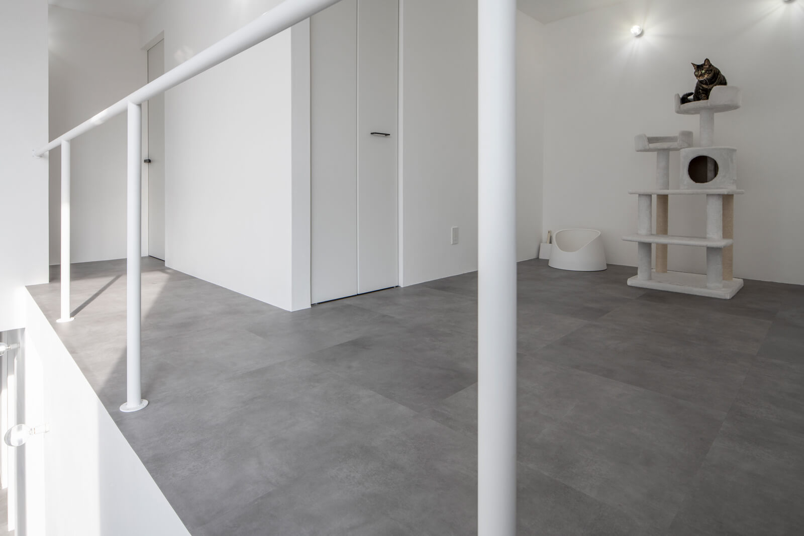 2階ホールは愛猫2匹のプレイルームも兼用。コスト調整のために1階の天井高が2.4メートルに対し、2階天井高を2.2メートルに抑えたが、主寝室や趣味室など、腰を下ろして過ごす時間が多いため圧迫感は無縁。吹き抜けとのつながりで開放感も確保している