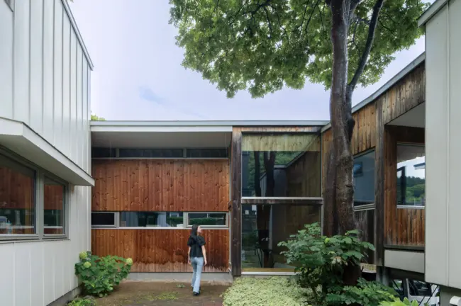 イヌエンジュが見守り続けるコートハウスの12年