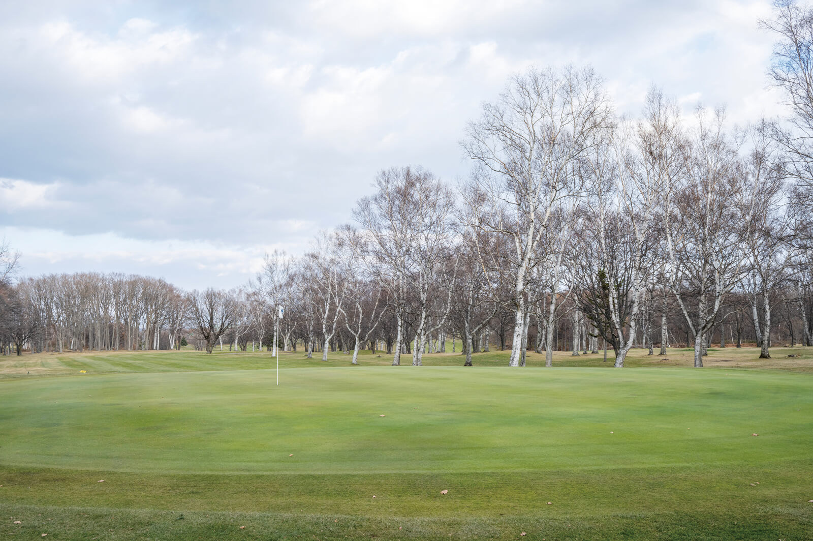 シラカバの林に囲まれたコースは、網走の雄大な自然を満喫できる
