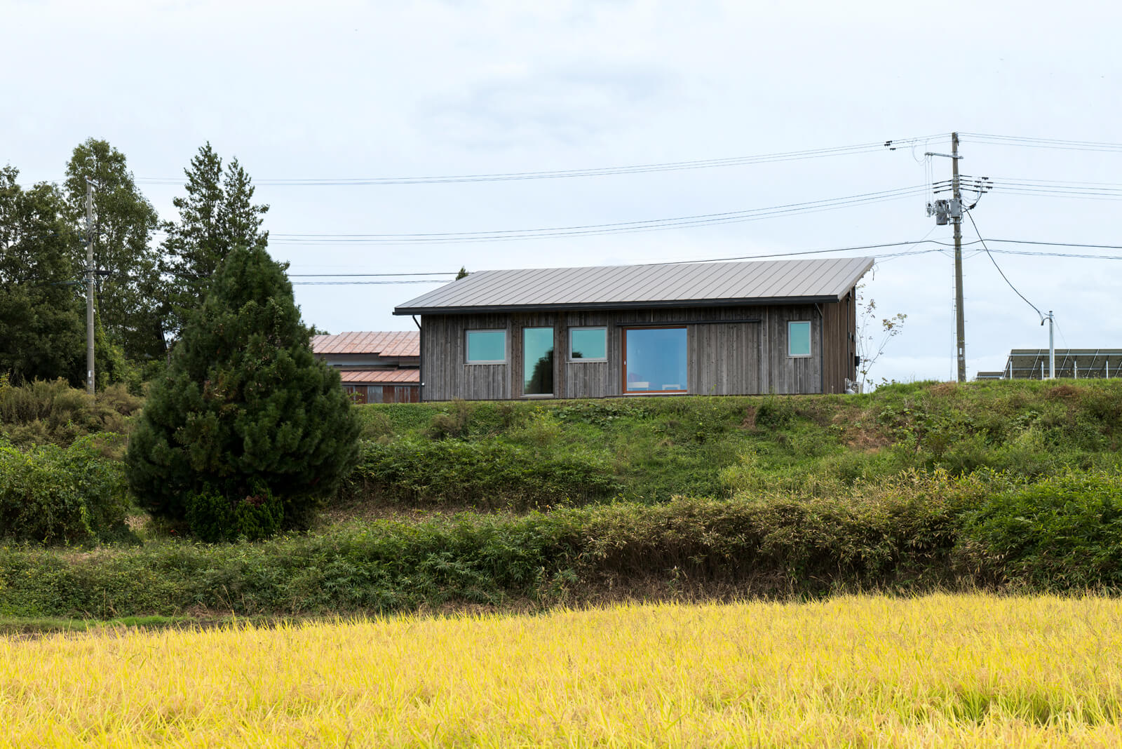 家が立つ高台の下には田園が広がる。春は黒々とした土に稲が植えられ、その稲が夏は緑色、秋には黄金色になり、刈り取られたら雪が積もって白に染まる